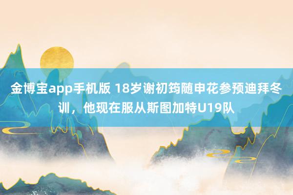 金博宝app手机版 18岁谢初筠随申花参预迪拜冬训，他现在服从斯图加特U19队