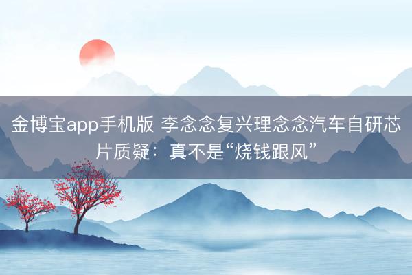 金博宝app手机版 李念念复兴理念念汽车自研芯片质疑：真不是“烧钱跟风”