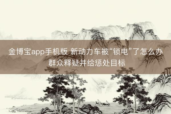 金博宝app手机版 新动力车被“锁电”了怎么办 群众释疑并给惩处目标