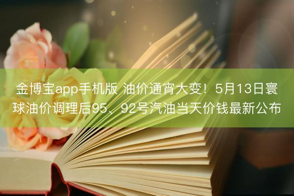 金博宝app手机版 油价通宵大变！5月13日寰球油价调理后95、92号汽油当天价钱最新公布