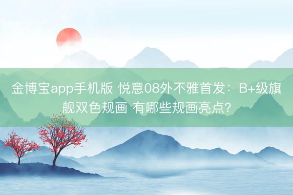 金博宝app手机版 悦意08外不雅首发：B+级旗舰双色规画 有哪些规画亮点？