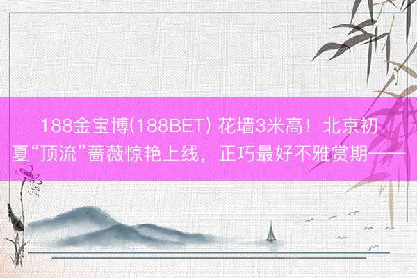 188金宝博(188BET) 花墙3米高！北京初夏“顶流”蔷薇惊艳上线，正巧最好不雅赏期——