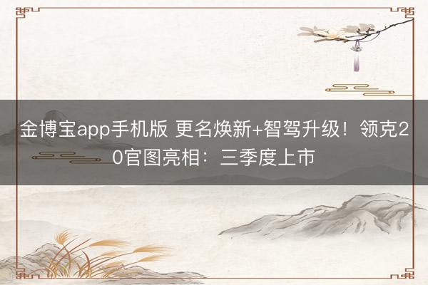 金博宝app手机版 更名焕新+智驾升级！领克20官图亮相：三季度上市