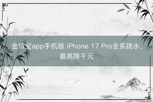 金博宝app手机版 iPhone 17 Pro全系跳水，最高降千元