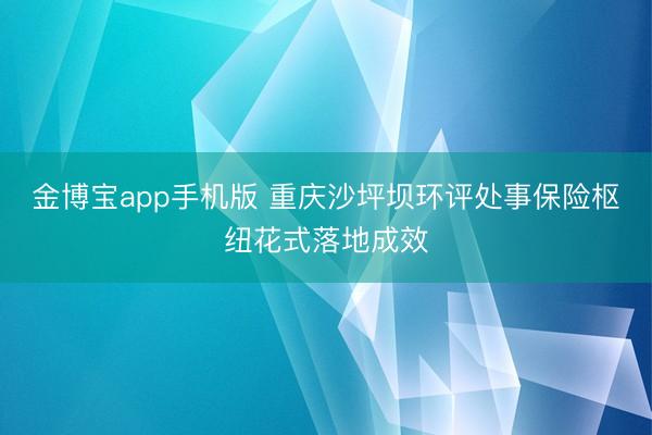 金博宝app手机版 重庆沙坪坝环评处事保险枢纽花式落地成效