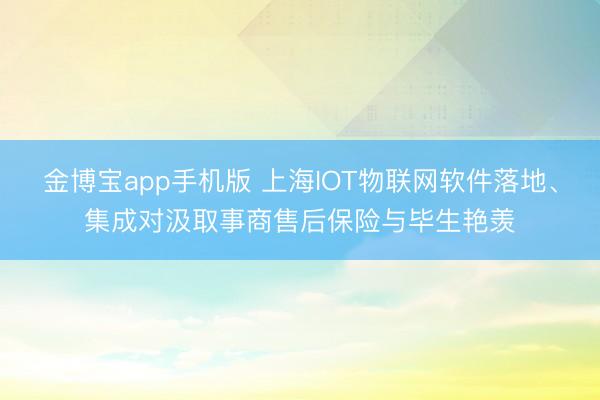金博宝app手机版 上海IOT物联网软件落地、集成对汲取事商