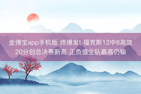 金博宝app手机版 终爆发! 福克斯12中8高效20分创总决赛新高 正负值全队最高仍输