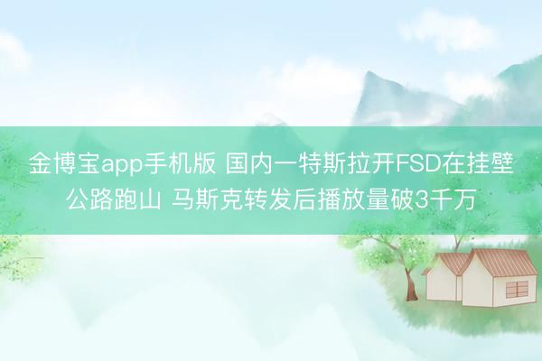 金博宝app手机版 国内一特斯拉开FSD在挂壁公路跑山 马斯克转发后播放量破3千万