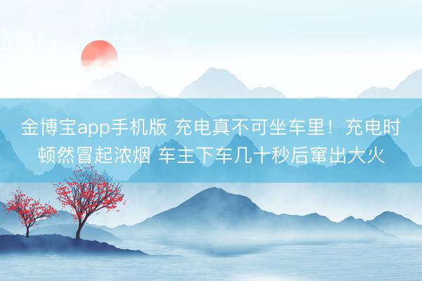 金博宝app手机版 充电真不可坐车里！充电时顿然冒起浓烟 车主下车几十秒后窜出大火