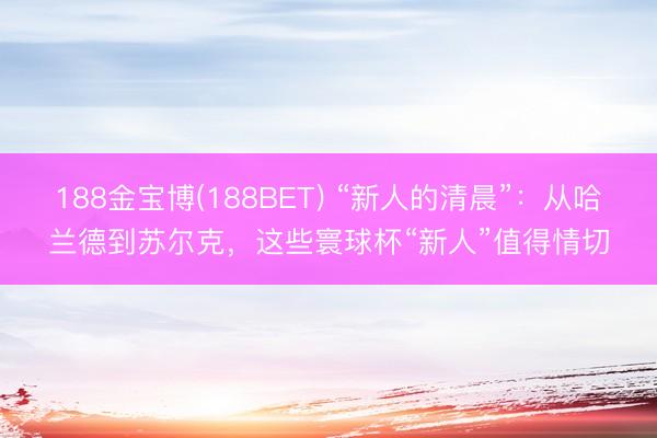 188金宝博(188BET) “新人的清晨”：从哈兰德到苏尔克，这些寰球杯“新人”值得情切