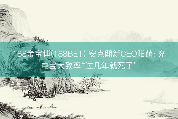 188金宝博(188BET) 安克翻新CEO阳萌: 充电宝大致率“过几年就死了”