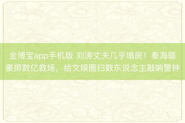 金博宝app手机版 刘涛丈夫几乎塌房!秦海璐豪掷数亿救场,给文娱圈扫数东说念主敲响警钟