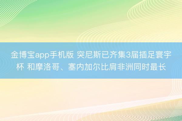 金博宝app手机版 突尼斯已齐集3届插足寰宇杯 和摩洛哥、塞内加尔比肩非洲同时最长