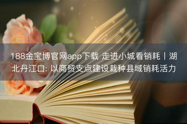 188金宝博官网app下载 走进小城看销耗丨湖北丹江口: 以商贸支点建设栽种县域销耗活力