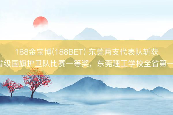 188金宝博(188BET) 东莞两支代表队斩获省级国旗护卫队比赛一等奖，东莞理工学校全省第一！