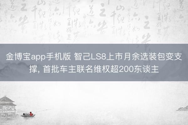 金博宝app手机版 智己LS8上市月余选装包变支撑, 首批车主联名维权超200东谈主